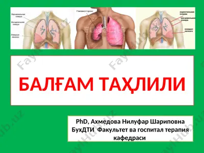 балғам таҳлили — PPT
