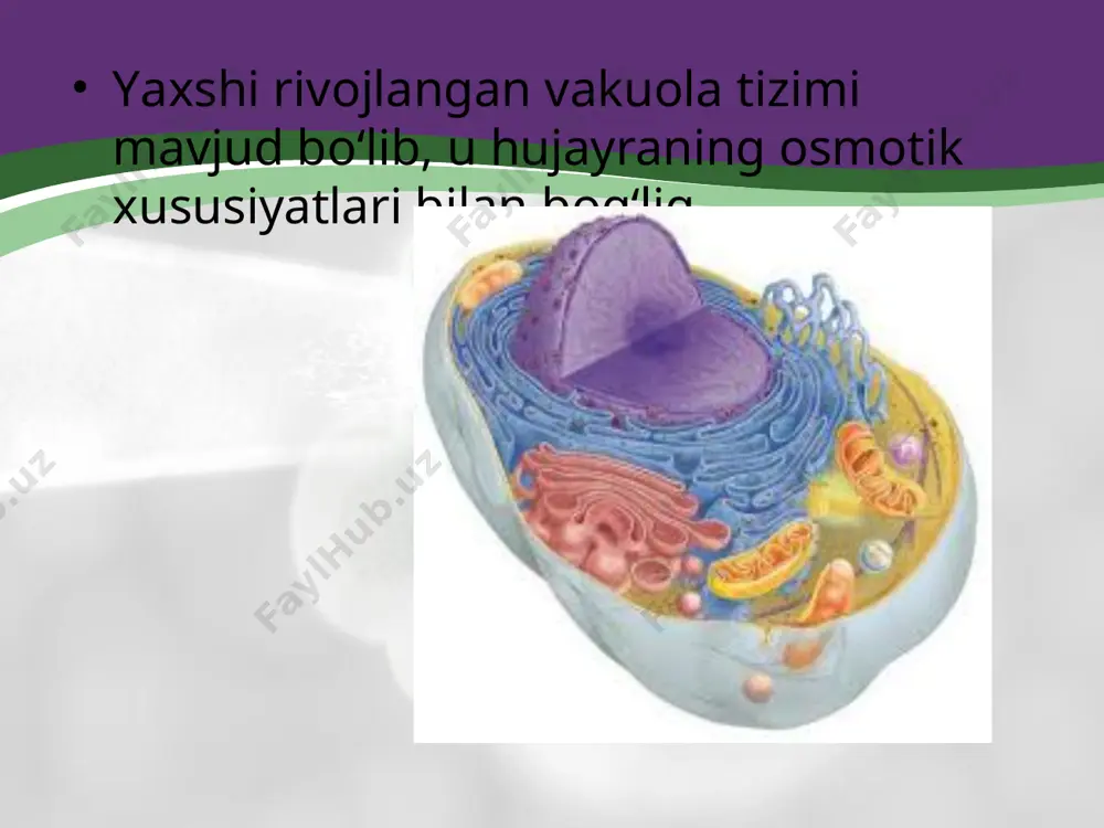 o‘simlik hujayrasining o‘ziga xos tuzilishi. 9 - sinf - Page 5