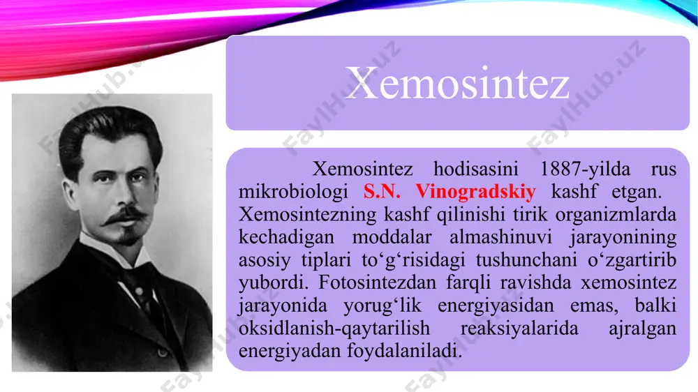 xemosintez - Page 4