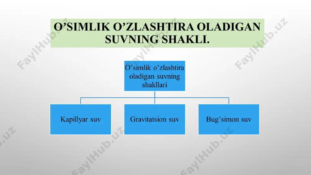 oʼsimlik oʼzlashtira olmaydigan suvning shakli - Page 3
