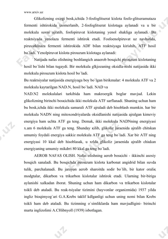 aerob bosқichi - ikkinchi asosiy bosqich sanaladi. bu bosqichda pirouzum kislota karbonat angid​rid bilan suvda tulik, parchalanadi. bu jarayon aerob sharoitda sodir bo`lib, bir kator oraliқ modgtalar, dikarbon va trikarbon kislotalar ishtirok etadi. ularning bir-biriga aylanishi xalkadan iborat. shuning uchun ham dikarbon va trikarbon kislotalar tsikli deb ataladi. bu reak-tsiyalar tizimini (hayvonlar organizmida) 1937 yilda ingliz bioqimyog`ari g.a.krebs taklif kdlganligi uchun uning nomi bilan krebs tsikli ham deb ataladi. bu tizimning o`simliklarda ham mavjudligini- birinchi marta inglizolimi a.chibnyoll (1939) isbotlagan. piruvat kislota aerob sharoitda avvalo, faollashgan birikma atsetil-soa ga aylanadi. faollashgan atsetil-so ani n g oksidlanishidan tsiklik jarayonlar boshlanadi. krebs tsiklining birinchi bosqichida atsetil-soa oksaloatsetat bilan uzaro reaktsiyaga kirishib, tsitrat kislota (limon kis​lota) hosil kiladi. bu reaktsiyada tsitratsintetaza fermenti ishtirok etadi va bu xalkadagi eng muhim maxsulotlardan biri hisoblanadi. shuning uchun bu jarayon tsitrat tsikli ham deb ataladi. tsitrat kislota`akonitaza fermenti ishtirokida degidratatsiyalanadi va tsisakonit hosil kiladi. tsisakonit kislota yana …