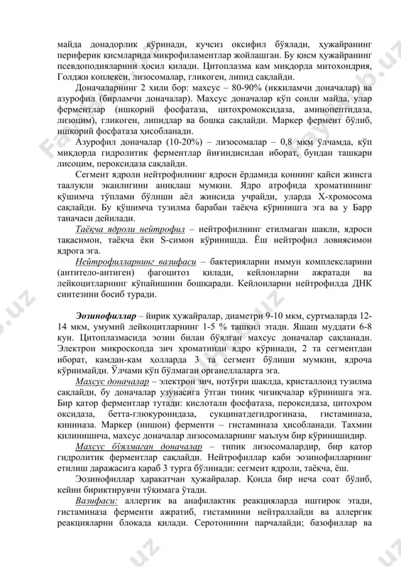 ислотали бўяладиган). донасиз лейкоцитлар – лимфоцитлар ва моноцитлар. лейкоцитларнинг миқдори 1 мл қонда 3,8 – 9,0 мингта бўлади. лейкоцитлар псевдоподиялари ёрдамида ҳаракат қилади. қон орқали лейкоцитлар бутун организмга тарқалади. қонда 8-12 соат бўлади. кейин эса бириктирувчитўқимага ўтади ва шу ерда ўзининг вазифасини бажаришни давом эттиради. лейкоцитлар ҳимоя вазифасини бажаради ва гуморал ва ҳужайравий иммунитетда иштирок этади. гранулоцитлар. нейтрофиллар – юмалоқ шаклда, диаметри 7-9 мкм, миқдори 65-75 %. яшаш даври 8 кун. қонда турли етилиш даражасидаги 3 хил нейтрофил учрайди: ёш (0-0,5%), таёқча ядроли (3-5%), ва сегмент ядроли (60-65%). қонда ёш ва таёқча ядроли нейтрофилларнинг миқдори ошса, лейкоцитлар формулада чапга силжийди, дейилади ва муҳим диагностик кўрсаткич ҳисобланади. сегмент ядроли нейтрофилнинг тузилиши: ядро сегментлашган, 3-4 сегментдан иборат, улар кўприкчалар ёрдамида боғланган, цитоплазмада майда донадорлик кўринади, кучсиз оксифил бўялади, ҳужайранинг периферик қисмларида микрофиламентлар жойлашган. бу қисм ҳужайранинг псевдоподияларини ҳосил қилади. цитоплазма кам миқдорда митохондрия, голджи коплекси, лизосомалар, гликоген, липид сақлайди. доначаларнинг 2 хили …