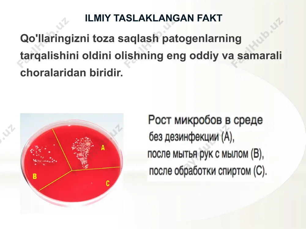 'l gigienasi masalalari, masalan, tibbiyot xodimlari uchun alohida muhokama qilinadi. ko'chadan uyga qaytgandan keyin; pishirish jarayonida; ovqatdan oldin va keyin; yo'tal, hapşırma, burunni tozalashdan keyin; kasal oila a'zosiga g'amxo'rlik qilishda; bolalarga g'amxo'rlik qilishda; hayvonlarga g'amxo'rlik qilish; maishiy chiqindilar bilan ishlashdan keyin; hojatxonaga borgandan keyin. image1.png image2.png image3.jpeg image4.png image5.jpeg image6.png image7.png image8.png image9.png