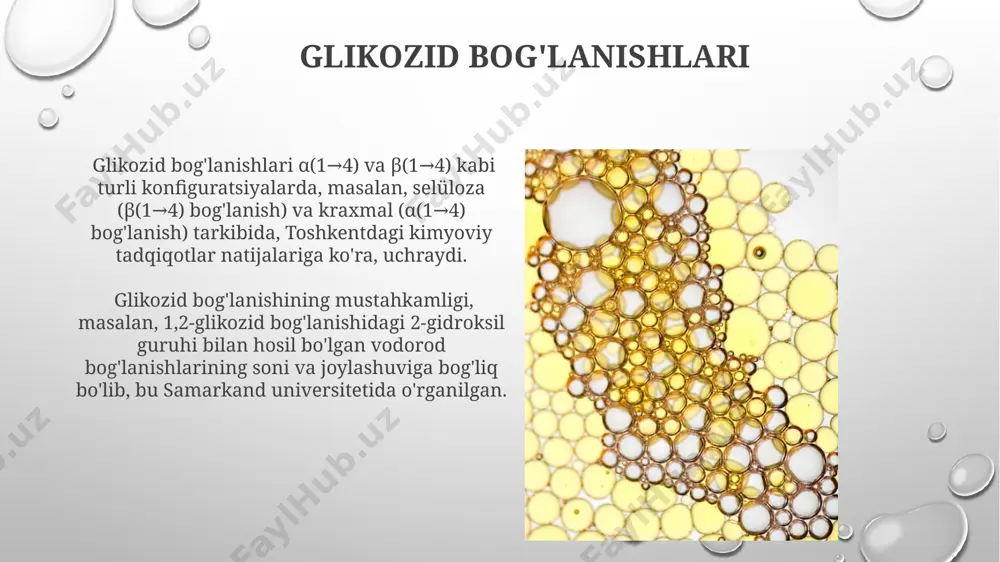 iladi, bu jarayon 100°c da 2 soat davom etadi. qo'llanilishi to'qimachilik sanoatida, xususan, 10 ga yaqin turdagi digomo- va geteropolisaxaridlar matolarga mustahkamlik va yumshoqlik berish uchun rossiya va xitoyda muvaffaqiyatli qo'llanilmoqda. digomo-va geteropolisaxaridlarning 30 dan ortiq turi o'zbekistonning qishloq xo'jaligi mahsulotlarini qayta ishlashda, ayniqsa, meva va sabzavotlardan fermentlar ajratib olishda keng qo'llaniladi. makromolekulaning konformatsiyasi digomo-va geteropolisaxaridlarning makromolekulyar konformatsiyasi, ularning uzunligi 1000 dan ortiq monosaхаrid qoldiqlariga ega bo'lishi mumkinligi bilan tavsiflanadi va bu spiral shakllarida joylashishini ta'minlaydi. markaziy osiyo mintaqasida topilgan ba'zi digomo- va geteropolisaxaridlarning konformatsiyasi, birlamchi va ikkilamchi tuzilishiga bog'liq bo'lib, 3-6 ga yaqin gidroksil guruhlarning vodorod bog'lanishlari orqali hosil bo'ladi. fizikaviy xossalari дигомо-ва-гетерополисахаридларнинг оптик айланишининг ўлчови поляриметрия усули билан амалга оширилади ва ўртача 10-15° бурчакни ташкил этади, бу самарқанд университетидаги тадқиқотлар натижасидир. полисахаридларнинг молекуляр массаси гель-хроматография усули билан аниқланиб, ўртача 5000-10000 дальтон атрофида бўлиб, бу натижалар андижондаги илмий-тадқиқот институтида олишди. e'tiboringiz uchun rahmat @taqdimot_robot image3.png image4.jpg image5.jpg image6.jpg image7.jpg …