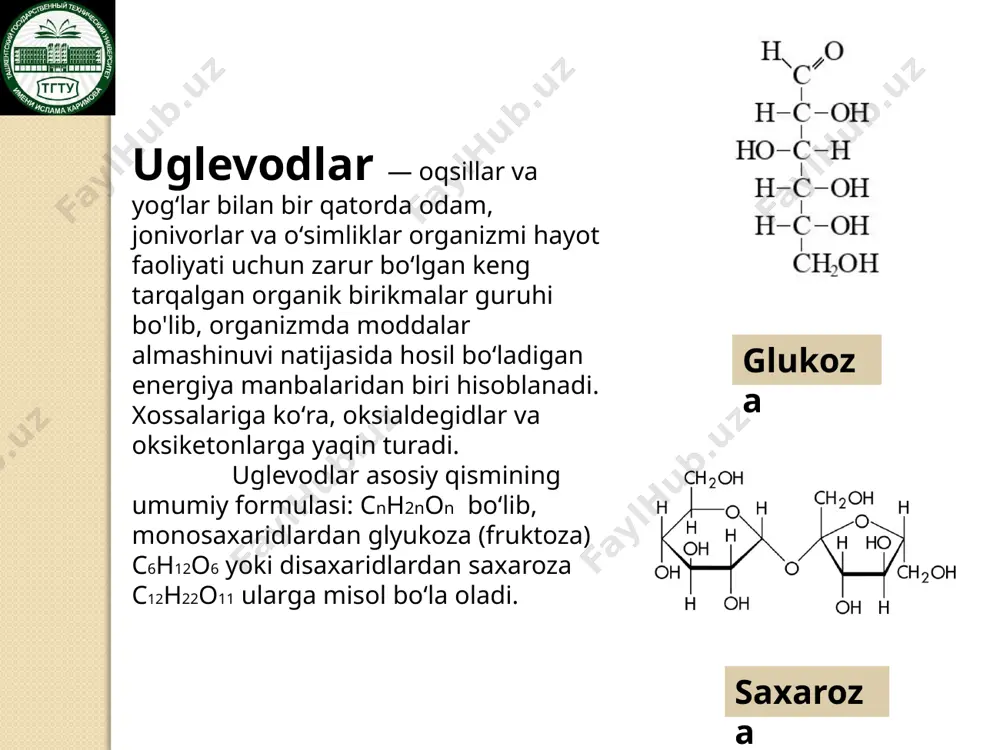 uglevodlar almashinuvi - Page 3