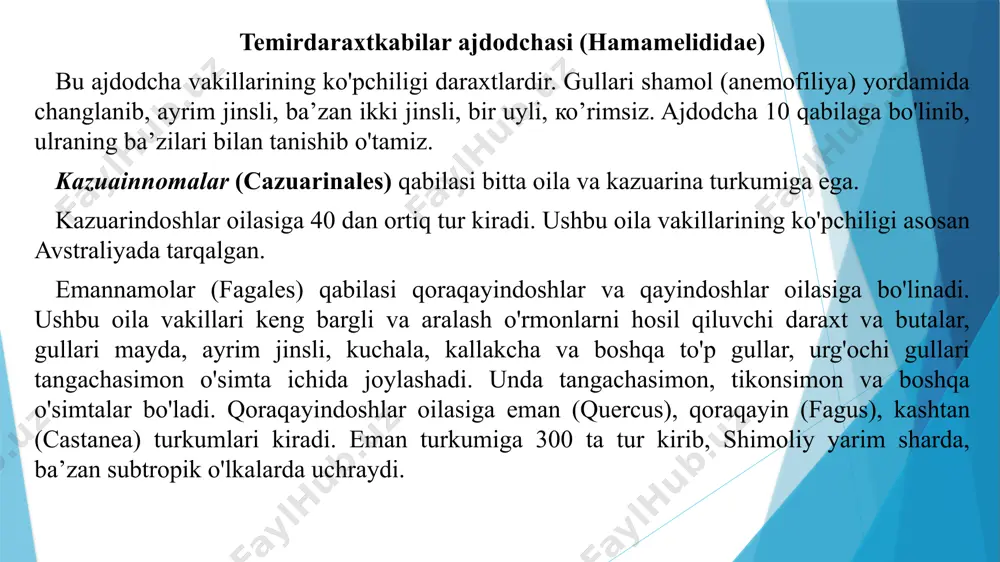 'kuvchi bir uyli daraxt va butalardir. qayindoshlar oilasi grab ( carpinus) va qandag'och (alnus) turkumlari ham kirib o'rmon hosil qiladigan daraxt va butalardir. bu oila 26 turkumga mansub 100-130 turni o'z ichiga oladi. chinordoshlarga yaqin turuvchi bu oilaning vakillari amerika, madagaskar oroli, janubi-sharqiy osiyo va avstraliyada tarqalgan. oila 5 ta oilachiga bo'linadi. chinordoshlar oilasi (plantanaceae) bu oilaga 1 ta turkum, 10 ta tur kiradi. ular shimoliy amerika, (canada, meksika, o'rta yer dengizi bo'ylari. g'arbiy ximolay, xindi-xitoy, bolqon yarim oroli va o'rta osiyoda tarqalgan. bizda bitta sharq chinori (platanus orientalis) o'sadi. chinor serbarg o'simlik, bargida yon bargchalari bo'ladi. kurtagidan dastlab barg chiqadi, keyin gulga kiradi. gullari bir jinsli, changchi guli sarg'ish boshchada, urug'chi guli qizil boshchada hosil bo'ladi. shamol vositasida changlanadi. changchilari 3-4, ba'zan 7 ta gacha bo'ladi. chinorlar 2000 yilgacha umr ko'radi, tabiatda 500, 1000 yil yashagan chinorlar uchraydi. u mustahkamligi jihatdan yong'oq yog'ochidan qolishmaydi. sharq chinori o'zbekiston respublikasi «qizil …