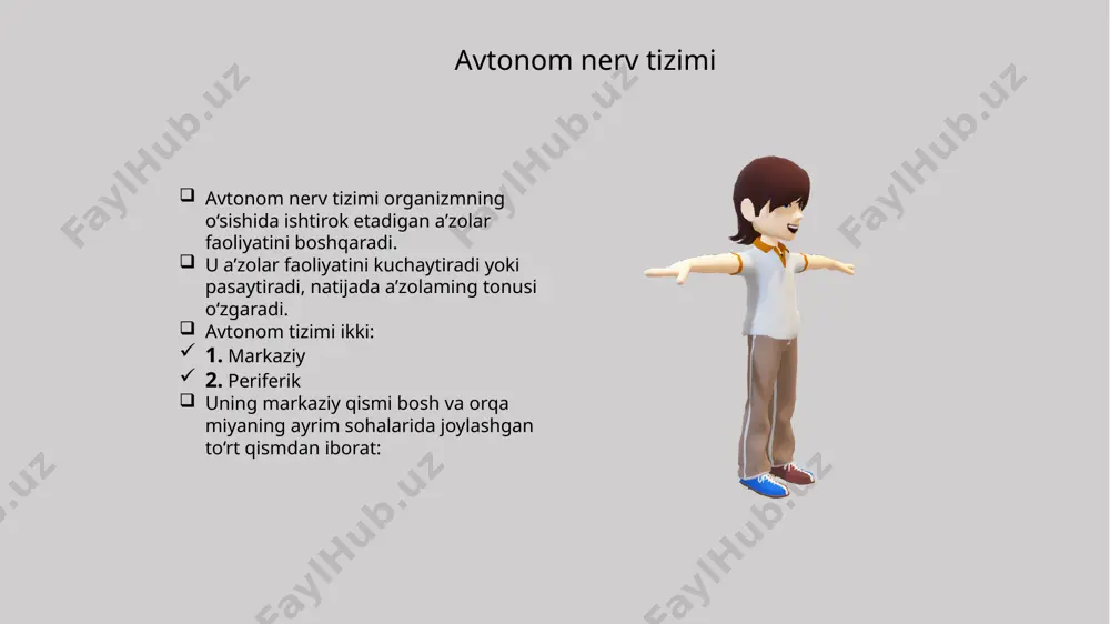 gi tarmog‘iga qo‘shiladi. 2. yurakka yo‘naluychi ko‘krak tarmoqlari (rr. cardiaci thoracici) ii-v ko‘krak tugunlaridan boshlanib, yurak chigalini hosil qilishda ishtirok etadi. 3. 0 ‘pkaning ko‘krak tarmoqlari (rr. pulmonales thoracici) o‘pka chigalini hosil qilishda ishtirok etadi. 4.aortataqrmoqlari (rr. aortici) ko‘krak aortasi tarmoqlari atrofida chigallar hosil qilib yo‘nalib qizilo‘ngach, ko‘krak limfa yoii, toq va yarim toq venalar devorini ham innervatsiya qiladi. 5.ichki a’zolarning katta nervi (n. splanchnicus major) 5-9 ko‘krak tugunlari tarmoqlarining x ko‘krak umurtqasi sohasida bitta dastaga yig‘ilishidan hosil bo‘ladi. nerv diafragmaning bel qismi mushak dastalari o‘rtasidan qorin bo‘shlig‘iga o‘tib, qorin chigalini hosil qilishda ishtirok etadi. 6.ichki a’zolaming kichik nervi (n. splanchnicus minor) x-xi ko‘krak tugunlari tarmoqlaridan hosil bo‘ladi. diafragmaning bel qismidan qorin bo‘shlig‘iga o‘tib, qorin chigalini hosil qilishda ishtirok etadi. 7.agarda 12 ko‘krak tuguni bo4isa, ichki a’zolaming eng pastdagi nervi (n. splanchnicus imus) hosil bo‘ladi. u diafragmaning bel qismidan o4ib, buyrak chigaliga qo‘shiladi simpatik poyaning bel qismi 3-5 ta duk …