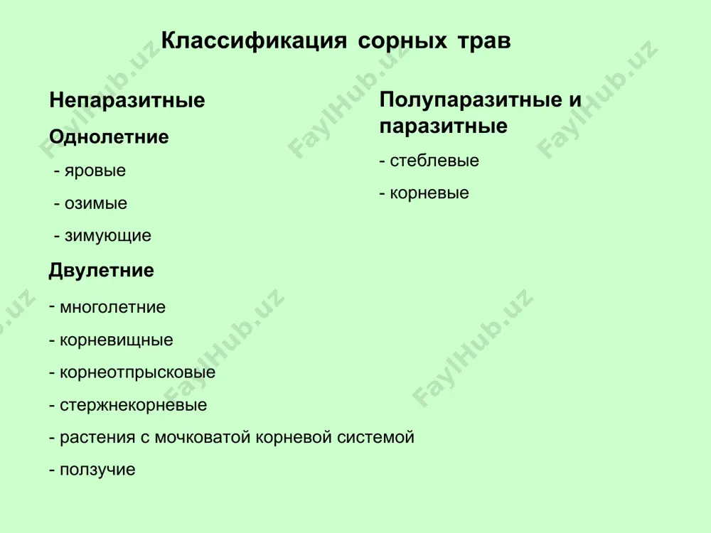 них трав семейства сложноцветных. около 50 видов, в евразии и африке. ромашка аптечная — лекарственное растение (потогонное, антисептическое и вяжущее средство). ромашкой называют также виды пиретрума, пупавки, нивяника и другие растения, внешне сходные с ромашкой ромашка непахучая – сорняк. зимующие двулетние двулетники, растения, живущие два года. в 1-й год развиваются лишь вегетативные органы, во 2-й, кроме того, — еще цветки и плоды, после чего растения погибают. двулетники — капуста, репа, морковь, многие декоративные и другие растения. белена, род одно- и двулетних трав семейства пасленовых. около 20 видов, в евразии, африке и на канарских островах. белена черная ядовита; сорняк. экстракт из листьев используют в медицине (противоспазматическое, болеутоляющее). двулетние паслен (solanum), род трав, кустарников и полукустарников (редко деревьев) семейства пасленовых. около 1700 видов, распространены широко, большинство — в южной америке. к роду паслен относятся картофель и баклажан. некоторые паслены ядовиты. есть лекарственные — паслен сладко-горький (solanum dulcamara). паслен черный - дикорастущий представитель …