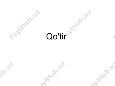 qo'tir — PPT