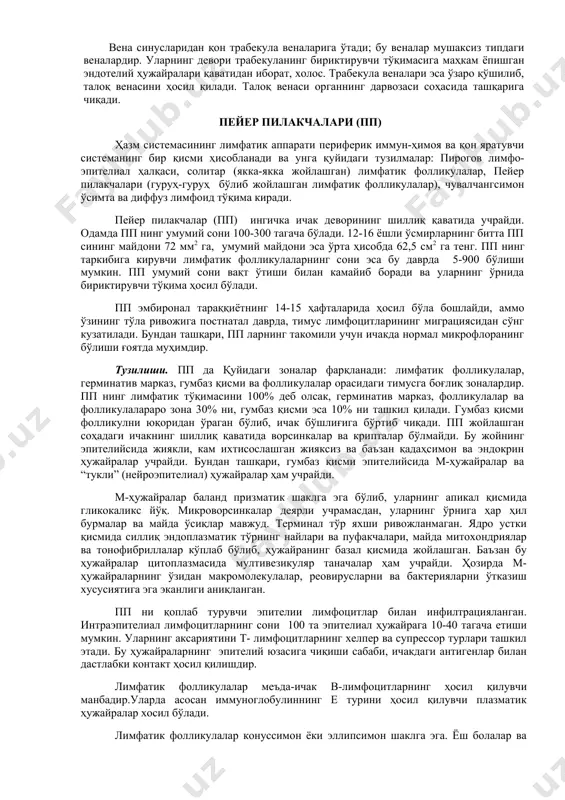 тик фолликулининг тимусга тобе қисми ҳисобланади ва бу ерда т-лимфоцитлар, макрофаглар ва идх жойлашади. талоқнинг ок пульпасида куйидаги зоналар ажратилади: 1) купайиш маркази; 2) периартериал зона; 3) ёпқич (мантий) зона; 4) қирғоқ зона. кўпайиш маркази ва ёпқич (мантий) зона асосан в-лимфоцитлардан, в-лимфобластлардан, плазмоцитлардан, макрофаглардан иборат. бу зоналар в-зоналар бўлиб, бу ерда в-лимфоцитлар учун микромуҳит ҳосил қилувчи фдх жойлашади. қиргоқ зона қизил пульпа билан чегарадош бўлиб, унда т- ва в- лимфоцитлар ва якка макрофаглар учрайди. қиргоқ зонани қирғоқ синусоидал томирлари ўраб туради. қизил пульпа талоқнинг асосий қисмини ташкил этиб, ретикуляр тўқима ва унда жойлашган қон ҳужайраларидан иборат. қизил пульпа синусоид типдаги қон томирларга жуда бойдир. қизил пульпанинг синусоидлар орасида жойлашган қисми пульпар ёки талоқ тасмалари деб аталади. бу тасмаларда в-лимфоцитлар ва улардан ҳосил бўлган плазмоцитлар учрайди. қизил пульпанинг ретикуляр стромасида моноцитлардан ҳосил бўлган фагоаитоз қилувчи ҳужайралар — макрофаглар (спленоцитлар) ва эритроцитлар жуда кўп бўлади. талоқда қон айланиши ( т алоқ артерияси …