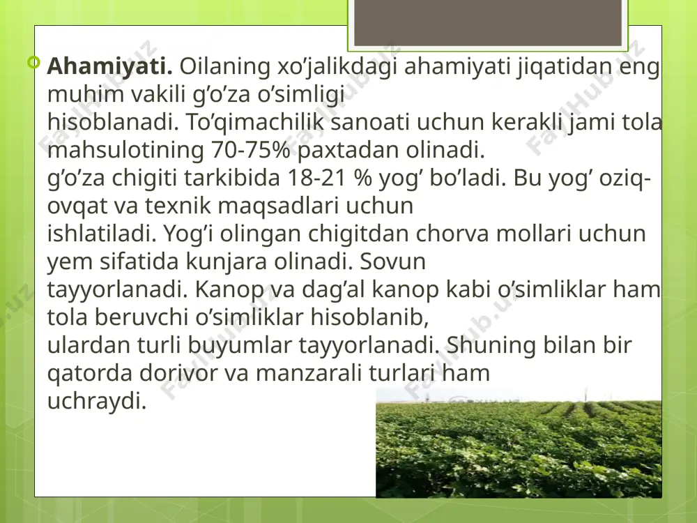 gulxayridoshlar (malvaceae) - Page 5
