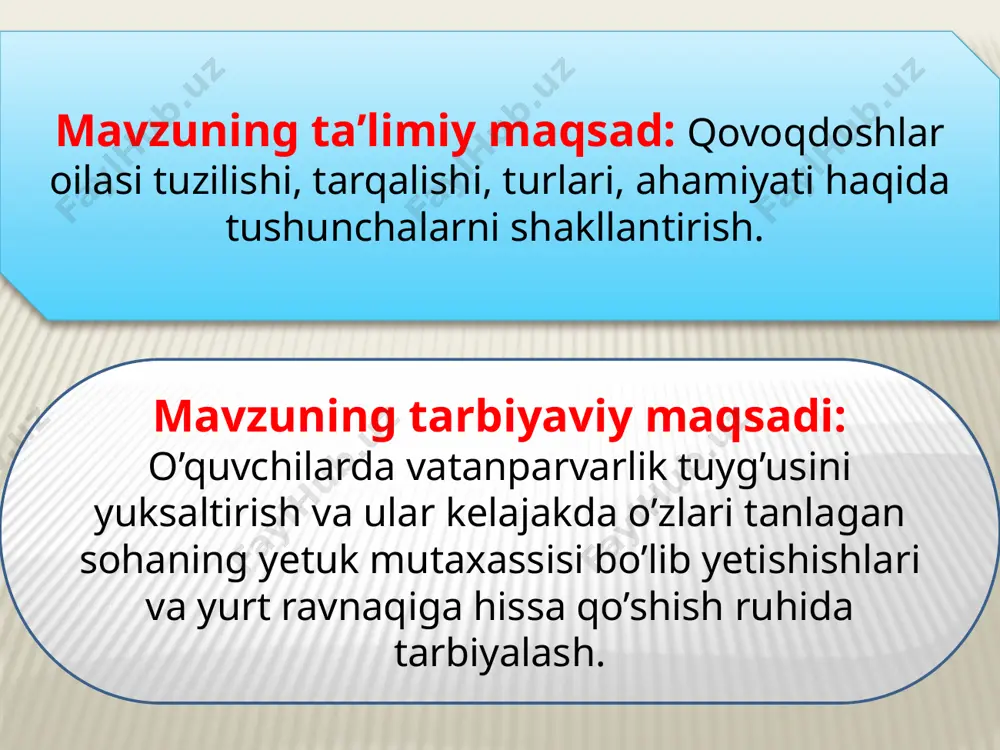 qovoqdoshlar oilasi 2 - Page 3