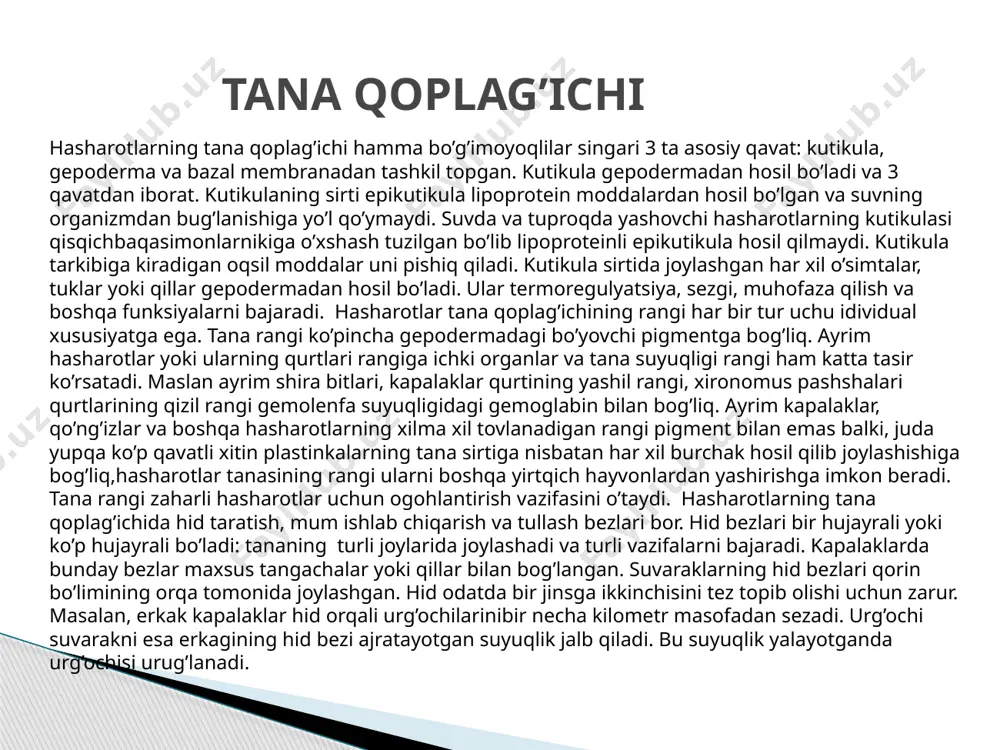 aydi. harakatlanish usuli va yashash muhiti ta’sirida oyoqlar turli darajada o’zgarishga uchraydi. (152)keltirilgan tavsif yuguruvchi bo’g’imi kuchli rivojlangan. yer qazuvchi buzoqboshilarning oyoqlari kalta kurakka o’xshash, o’tkir xitin tishchalar bilan ta’minlangan. suv qandalalari va qo’ng’izlarining orqa oyoqlari kengayib uzun tuklar bilan qoplangan eshkakni hosil qiladi. gul changini yig’uvchi arilar orqa oyog’ining boldir qismida maxsus chuqurchadan iborat savatcha hosil bo’ladi. beshiktebratarlarning oldingi oyoqlari tutuvchi organga aylangan. hasharotlarning qanotlari ko’krak qismining yon tomonidagi tana qoplag’ich burmasidan kelib chiqqan. qanot juda yupqa yoki ikki qavat plastinkaga o’xshash bo’lib, har ikkala qavat o’rtasida juda tor tirqish bo’ladi. bu tirqish tana bo’shlig’ining davomi hisoblanadi. qanotlardagi qanotlardagi to’rlar xitin naychalardan iborat. naychalar orqali traxeyalar va nerv tolalari o’tadi. to’rlar qanotlar uchun tayanch vazifasini ham bajaradi. qanotdagi to’rlarning shakli sistematik guruhlarni aniqlashda katta ahamiyatga ega. qanot bo’ylab joylashgan to’rlar kostal, subkostal, radial, median, kubital, anal va yugal deb ataladi. (153-rasm) qanotlarning harakati juda murakkab bo’lib, bir tomondan ularni …