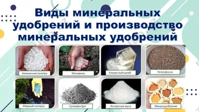 mineral o'g'itlar va ularning ishlab chiqarilishi — PDF