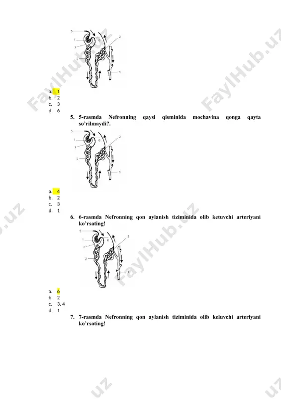 nefronning funktsiyalari - Page 2