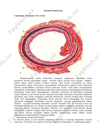 kekir dak — PDF