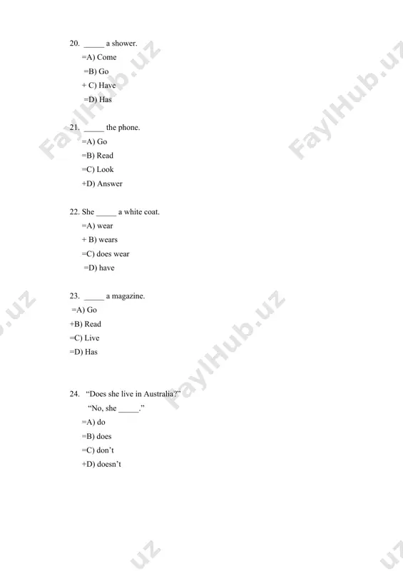 english grammar test a1-a2 level - Page 5