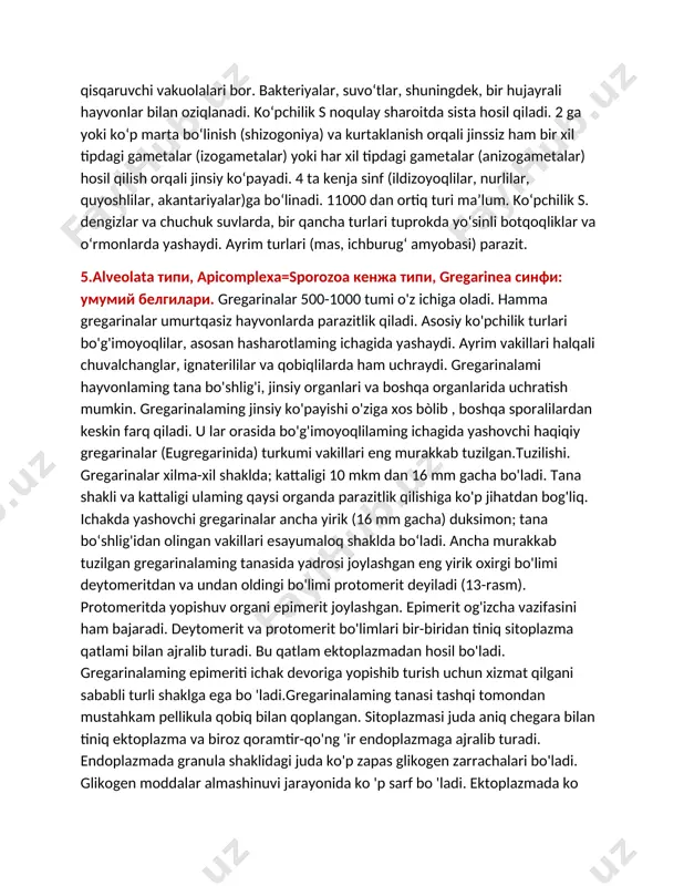 mlarda balantidiy parazitlik qilib, katta ziyon keltiradi. ayrim infuzoriyalar (mas, tufelka) lab. hayvonlari hisoblanadi. 4.амѐбасимонлар (ameboid protozoa): умумий белгилари, таксонлари. sarkodalilar — sarkomastigoforalar tipiga mansub bir hujayrali hayvonlar sinfi. tanasi sirtdan sitoplazmatik membrana bilan qoplangan; hujayra qobigʻi boʻlmaydi. koʻpchilik turlari tanasi oqak yoki kremniy chigʻanoq ichida joylashgan; chigʻanoq teshiklaridan sitoplazmasi oʻsimtalari (soxta oyoklar) chiqib turadi. soxta oyoqlar (psevdopodiylar) harakatlanish va oziqni qamrab olish vazifasini bajaradi. soxta oyoklar yassi parraksimon, ipsimon yoki nursimon boʻladi. yadrosi bitta yoki bir nechta. chuchuk suvda yashaydigan s.ning qisqaruvchi vakuolalari bor. bakteriyalar, suvoʻtlar, shuningdek, bir hujayrali hayvonlar bilan oziqlanadi. koʻpchilik s noqulay sharoitda sista hosil qiladi. 2 ga yoki koʻp marta boʻlinish (shizogoniya) va kurtaklanish orqali jinssiz ham bir xil tipdagi gametalar (izogametalar) yoki har xil tipdagi gametalar (anizogametalar) hosil qilish orqali jinsiy koʻpayadi. 4 ta kenja sinf (ildizoyoqlilar, nurlilar, quyoshlilar, akantariyalar)ga boʻlinadi. 11000 dan ortiq turi maʼlum. koʻpchilik s. dengizlar va chuchuk suvlarda, bir qancha …