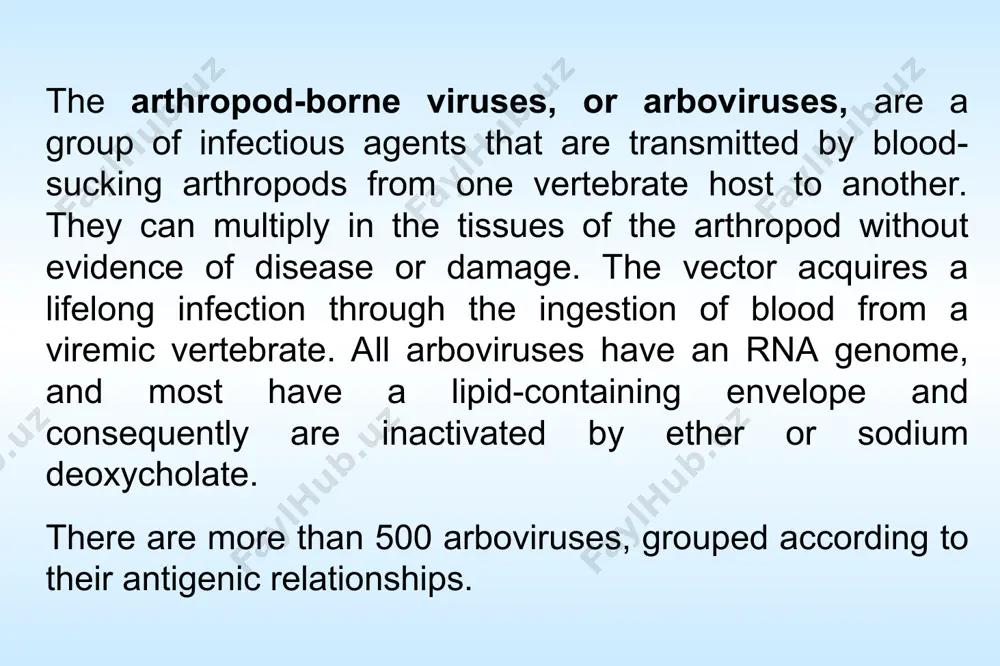 y the arboviruses may be divided into 3 clinical syndromes: fevers of an undifferentiated type with or without a maculopapular rash and usually benign; encephalitis, often with a high case fatality rate; hemorrhagic fevers, also frequently severe and fatal. these categories are somewhat arbitrary, and some arboviruses may be associated with more than one syndrome, eg, dengue. togaviridae genera: alphavirus (typical virus – sindbis virus) rubivirus pestivirus togaviruses general properties small viruses, (+) ssrna, linear, м.w. 4,0 мd, icosahedral symmetry, envelope, virus-specific polypeptides, some of them – glycoproteins. unstable at room temperature, stable at —70 °c, and rapidly inactivated by ether or by 1:1000 sodium deoxycholate. this property separates them easily from enteroviruses alphavirus there are 30 alphaviruses, 13 of them can infect human virions are spherical, 60-70 nm in diameter, icosahedral nucleocapsid enclosed in a lipid-protein envelope. alphavirus rna is a single 42s strand of approximately 4x106 daltons virion …