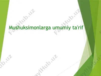 mushuksimonlarga umumiy ta'rif — PPTX