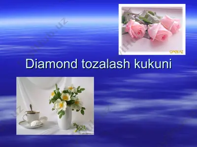 diamond tozalash kukuni — PPT