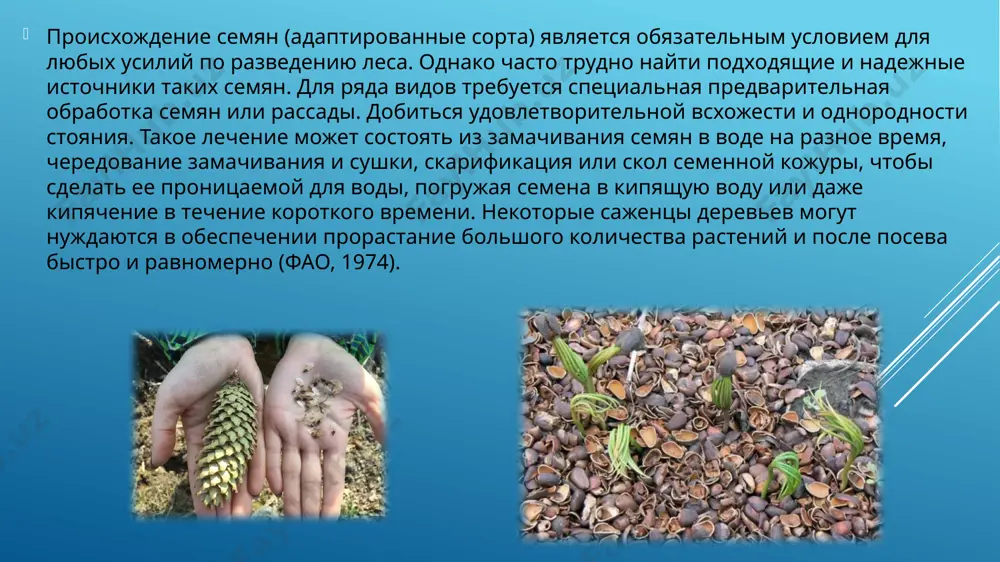 и парниковых газов, механизация урожай, содержание сахара и т. д.) и социальное измерение (ручная резка, источник выживания ресурсы для бедных/безземельных рабочих). ущерб зависит от интенсивности пожара, который является функцией типа растительности, климатических условий и частоты. расходы и необходимо определить преимущества сжигания и методы сведения к минимуму вредного воздействия с местным населением. управление пожнивными остатками в системах, где пожнивные остатки обрабатываются хорошо, они: вносят органического вещества в почву, что улучшает качество семенного ложа и увеличивает инфильтрация воды и удерживающая буферную способность почвы рн и облегчает доступ питательных веществ; обеспечивает питательные вещества для биологической активности почвы и усвоения растениями; улавливать осадки на поверхности и, таким образом, увеличивать инфильтрацию и почве влаги; обеспечивает покрытие для защиты почвы от эрозии; уменьшить испарение и избежать высыхания с поверхности почвы. в зависимости от характера следующей культуры принимаются решения о том, как распределять остатки. должны ли они быть распределены равномерно по полю или оставлены нетронутыми, равномерное распределение …