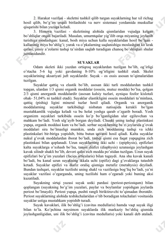 uzidagi hayvonlarning birortasi ham o’zini tik tutib turolmaydi va qomat shakllanmaydi. skelet organizmda asosan uch vazifani bajaradi. bular: tayanch (suyanchiq), harakat va himoya vazifalaridir. 1.tayanya vazifasi yumshoq to’qima va a’zolarning skeletning ayrim qismlariga birikib turishi natijasida vujudga keladi. 2. harakat vazifasi - skeletni tashkil qilib turgan suyaklarning har xil richag hosil qilib, bo’g’im orqali birilashishi va nerv sistemasi yordamida muskullar qisqarishi bilan yuzaga keladi. 3. himoya vazifasi - skeletining alohida qismlaridan vujudga kelgan bo’shliqlar orqali bajariladi. masalan, umurntqalar yig’ilib orqa miyaning joylanib turishiga moslashgan: kanal, bosh miya uchun kalla suyaklaridan hosil bo’lgan - kallaninig miya bo’shlig’i; yurak va o’pkalarning saqlanishiga moslashgan ko’krak qafasi, jinsiy a’zolarni tashqi ta’sirdan saqlab turadigan chanoq bo’shliqlari shular jumlasidandir. suyaklar odam skeleti ikki yuzdan ortiqroq suyaklardan tuzilgan bo’lib, og’irligi o’rtacha 5-6 kg yoki gavdaning 8-10% og’irligini tashkil etadi. skelet suyaklarining aksariyati juft suyaklardir. suyak - os ossis asosan to’qimalaridan tuzilgan. suyaklar qattiq va elastik bo’lib, asosan …