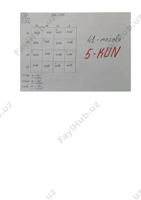 lariga ota-ona gametalarini va avlodlar genotipini yozing. berilgan ma’lumotlardan foydalanib quyidagi (a-c) topshiriqlarni bajaring. a) avlodning nech % ni och qizil rangli o’simlik tashkil qilishini aniqlang. b) avlodning necha % ni to’q sariq rangli avlod tashkil qilishini aniqlang. c) avlodning necha % ni yashil rangli avlod tashkil qilishini aniqlang. diqqat! mazkur topshiriq kengaytirilgan javobni talab etib, uning yechilish uslubi va barcha arifmetik hisob-kitob amallarini javoblar varaqasida to‘liq aks ettirish talab etiladi. 42-masala.dasht agamasida ko’z atrofida rangli xalqani bo’lishi quydagi genlar uchrashiga bog’liq-- c-qora xalqa, c1-qizil xalqa, c2-sariq xalqa bo’ishini yuzaga chiqaradi, ushbu genlarning o’zaro ta’sir kuchi quydagicha c>c1>c2. tangachalarni yirik bo’lishi (r ) mayda bo’lishi (r ) ustidan, tanasini kulrang bo’lishi (l) yashil bo’lishi (l) ustidan to’liq dominantlik qilib bitta jinsiy x xromasomada chala birikkan xolda irsiylanadi, genlar orasidagi masofa 20 m daga teng. ko’z atrofi qizil xalqali, tangachalari mayda, yashil tanali urg’ochi agama. ko’z atrofi qora xalqali, yirik tangacha, …