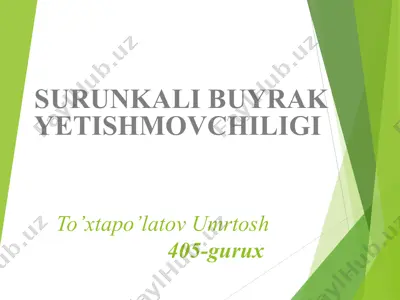 surunkali buyrak yetishmovchiligi — PPT