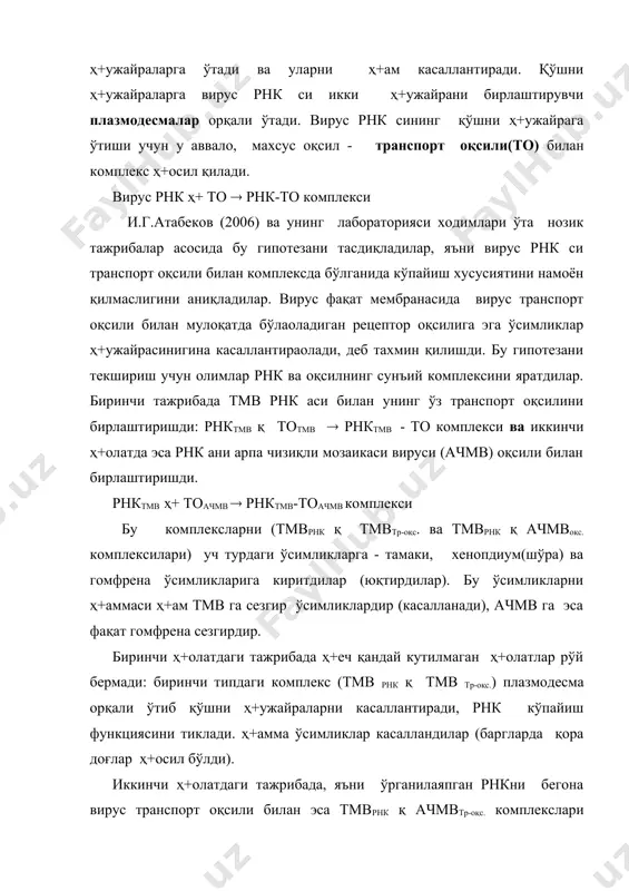 ецепторига мос бўлиши керак экан. бу вирусга яхши хўжайин-ўсимликга тушгани ҳ+ақида ишонч ҳ+осил қилади деган тахмин қилинади. бу вазиятда вирусга шароит оптимал бўлади, у бемалол кўпаяолади. шундай қилиб, ҳ+ужайрага кирган вирус заррачаси ҳ+ужайра ичида кўпаяди. ҳ+ужайранинг маълум бир қисмида вирус нуклеин кислотаси ва бошқа бир қисмида эса вирус оқсили синтезланади. вирус зарраси ҳ+осил бўлиши учун вирус нуклеин кислотаси ва оқсили бирикиб вирус заррачалари ҳ+осил бўлиши ўз-ўзидан тикланиш (самосборка) асосида рўй беради. вирус икки занжирли днк сининг репликациясида (икки марта кўпайишида) вирус днк сидан информацион рнк маълум оқсилларнинг кимёвий усулда ёзилган информацияларини қабул қилади(транскрипция) ва мазкур информацион рнк рибосомаларда вирус днк си репликацияси учун зарур оқсилларни (бевосита вирус днк репликациясига зарур бўлган ферментлар, вируснинг структураси оқсилларини) синтезлайди. днк - полимераза ферменти, ўз навбатида ҳ+ужайрадаги дезоксирибонуклеозидтрифосфатларни она днк га мос қилиб, бир занжирчага улайди. натижада, она днк нинг ҳ+ар иккала занжирчасига мос янги днк занжирчалари синтезланади. бир занжирчали вирус днксининг репликациясида ҳ+ам, …