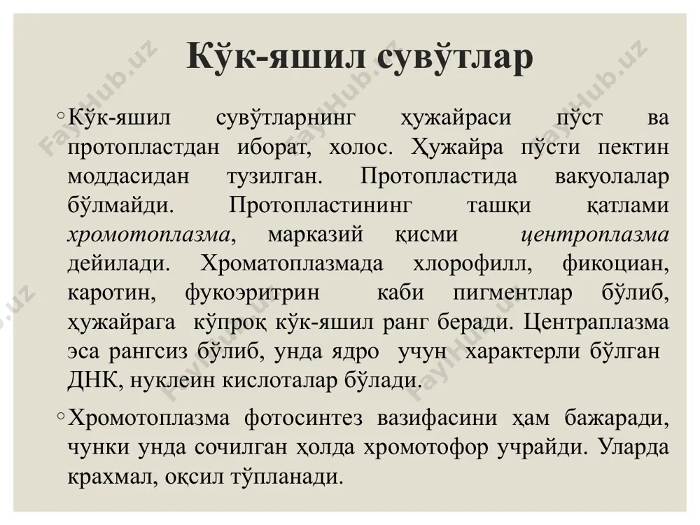 ечта ядро ва хроматофорларга ажралган. хромотофори пластинкасимон шаклда бўлади. талломи, асосан ипларнинг учида тўпланган ҳужайраларининг бўлиниши ҳисобига ўсади. талломи бир, икки ёки кўп қатор ҳужайралардан тузилган оддий ипсимон ёки шохланган пластинка шаклида бўлади. мураккаб вакиллариники сершох бутага ўхшаш бўлиб, барглари томирлангандек кўринади, масалан делессерия. синф. бангиясимонлар-bangiophyceae порфира (porphyra) мазкур синф вакили. у, шимолий ва жанубий денгиз қирғоқларида ўсади. талломи баргсимон, тўқ қизил рангда, субстратга бириккан, узунлиги 50 см. унинг талломи бир ёки икки қават ҳужайралардан ташқил топган ва битта юлдузсимон хроматофорага эга. антеридий ҳужайралари кўндалангига бир неча марта бўлиниб, майда ҳужайралар ҳосил қилади. шу ҳужайралардан биттадан спермация етилади. синф. флоридиясимонлар-florideophyceae делессерия (delesseria) оч қизил рангда, талломи бутача шаклида, шохланган. шимолдаги денгизларнинг чуқур жойларида ўсади. шохланган қисқа тана ва унинг учидаги наштарсимон пластинкалардан иборат. пластинка ости кичрайиб, барг бандига айланган ва патсимон томирли. қизил сувўтларининг тарқалиши ва аҳамияти қизил сувўтларнинг баъзи вакиллари тез оқадиган тоза дарё сувларида (батрахоспермум), бошқа вакиллари асосан …