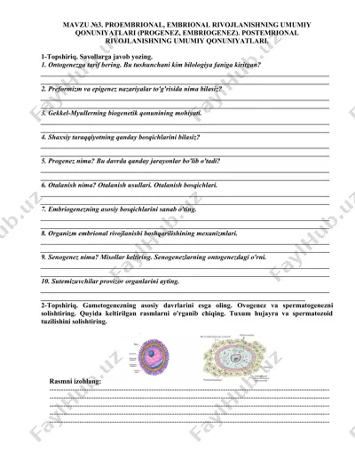 ontogenezga doir topshiriqlar — DOCX