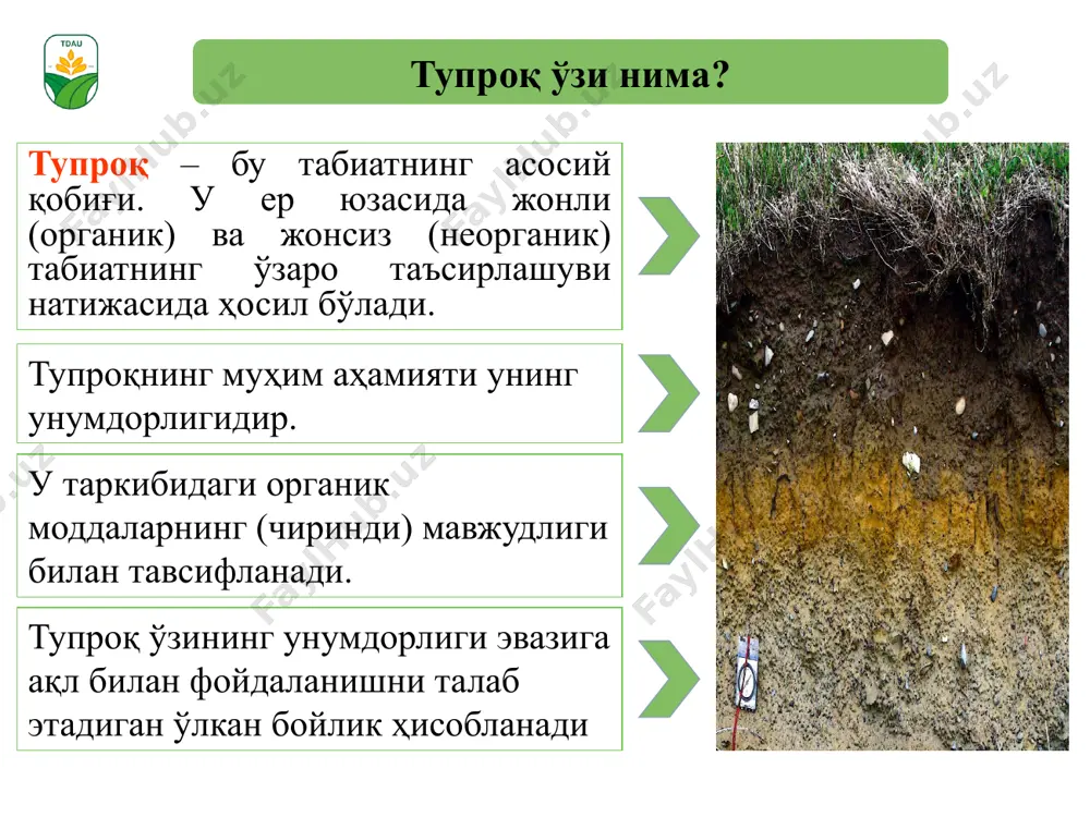 o’zaro bo’lanishi. bir hujayrali foto va kimyosintetik avtotroflar (erishish qiyin bo'lgan azot, fosfor, kaliy) yerdagi o'simliklarning turi, ularning kimyoviy tarkibi va yer osti suvlarining kimyoviy tarkibi tuproq turiga, ularning kimyoviy tarkibiga bog'liq. tuproq qatlami yer kurrasi bilan atmosfera o'rtasidagi muvozanatni — murakkab moddalar almashinuvi, energiya ajralishini hamda biosferadagi jonivorlarning yashash tarzi mutanosibligini saqlab turadi. har qanday salbiy ta'sir tashqi muhit tabiiyligiga putur yetkazishi mumkin. organizmga tuproq orqali zaharli moddalar tushishining biologik tarixini quyidagicha ifodalash mumkin. 1. odam — tuproq, bunda patogen mikroblar, gijja va uning tuxumlarining organizmga tushishi katta xavf tug'diradi, bunday sharoit shaxsiy gigiyena qoidalarini qo'pol buzilganda kuzatiladi. 2. tuproq — atmosfera havosi — odam. bunday hol tuproqning yuqori darajada organik birikmalar, atmosferani radioaktiv moddalar hamda zaharli birikmalar bilan bulg'anishi natijasida organizmga salbiy ta'sir ko'rsatishi mumkin. 3. tuproq—yer osti suvlari—odam. tuproq tarkibidagi tuzlar, radioaktiv moddalarning suv bilan yer osti suvlariga qo'shilishi va bu suvning iste'mol qilinishi kasallikka sabab bo'lishi …