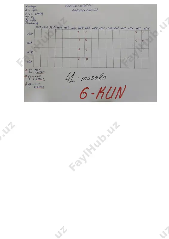 a chiqaradi. tetragomozigota to’q qora rangli urg’ochi butli o’rgimchak va uchinchi juft geni bo’yicha gomozigota dominant qolgan barcha genlari bo’yicha gomozigota retsessiv genotipga ega och kulrang rangli erkak o’rgimchak bilan chatishtirilib olingan avlod. digeterozigota qo’ng’ir rangli o’rgimchak bilan qayta chatishtirilsa. topshiriqni bajarish tartibi: 1) belgilar va ularni boshqaruvchi genlarni, ota-ona genotipini yozing; 2) pennet kataklariga ota-ona gametalarini va avlodlar genotipini yozing. berilgan ma’lumotlardan foydalanib quyidagi (a-c) topshiriqlarni bajaring. a) avlodda to’q qo’ng’ir rangli individlar xosil bo’lish extimolini % da aniqlang. b) avlodda och qo’ng’ir rangli individlar xosil bo’lish extimolini % da aniqlang. c) avlodda qo’ng’ir rangli individlar xosil bo’lish extimolini % da aniqlang. 42-masala. uy pashshasida tanasini sertuk bo’lishi kamtuk bo’lishi ustidan to’la dominantlik qiladi. boshqa gomologik xromasomada joylashgan ikki juft gendan biri qanotlarni uzun bo’lishini, ikkinchisi xartumini kalta bo’lishini yuzaga chiqarib chala birikkan xolda dominant irsiylanadi, bu genlarning retsessiv allellari qanotlarni kalta bo’lishi va xartumning uzun bo’lishini taminlaydi. genlar …