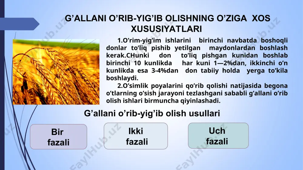g’alla o’rish yig’ish va don tozalash mashinalari - Page 3