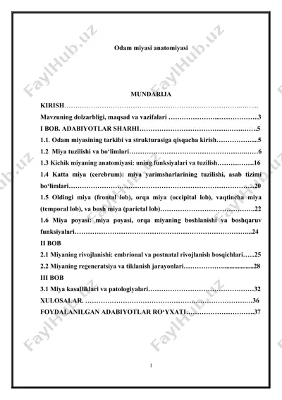 odam miyasi anatomiyasi — DOC