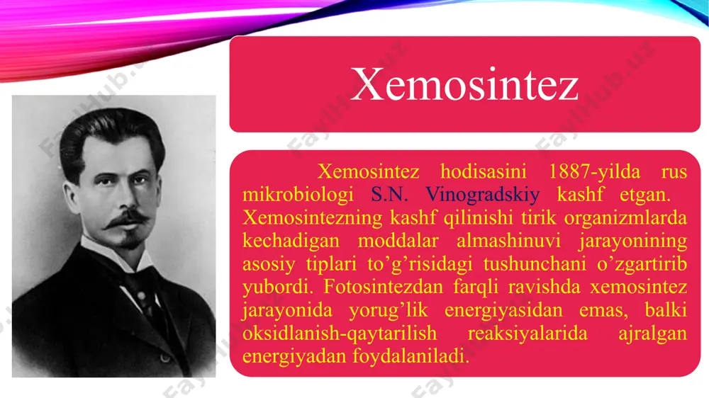 xemosintez - Page 4