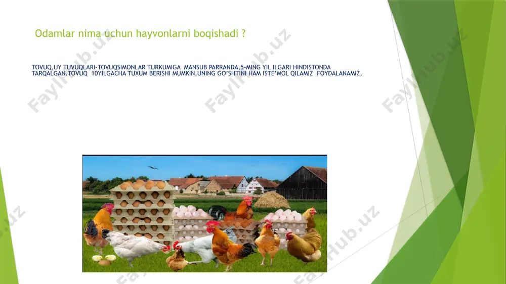 hayvonlarning ahamiyatini o‘rganamiz taqdimoti - Page 4