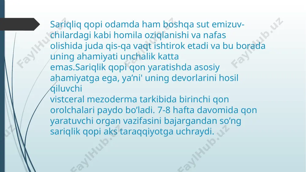 odam embriologiyasi asoslari - Page 5