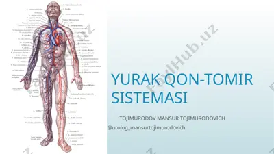 yurak qon-tomir tizimi — PPTX
