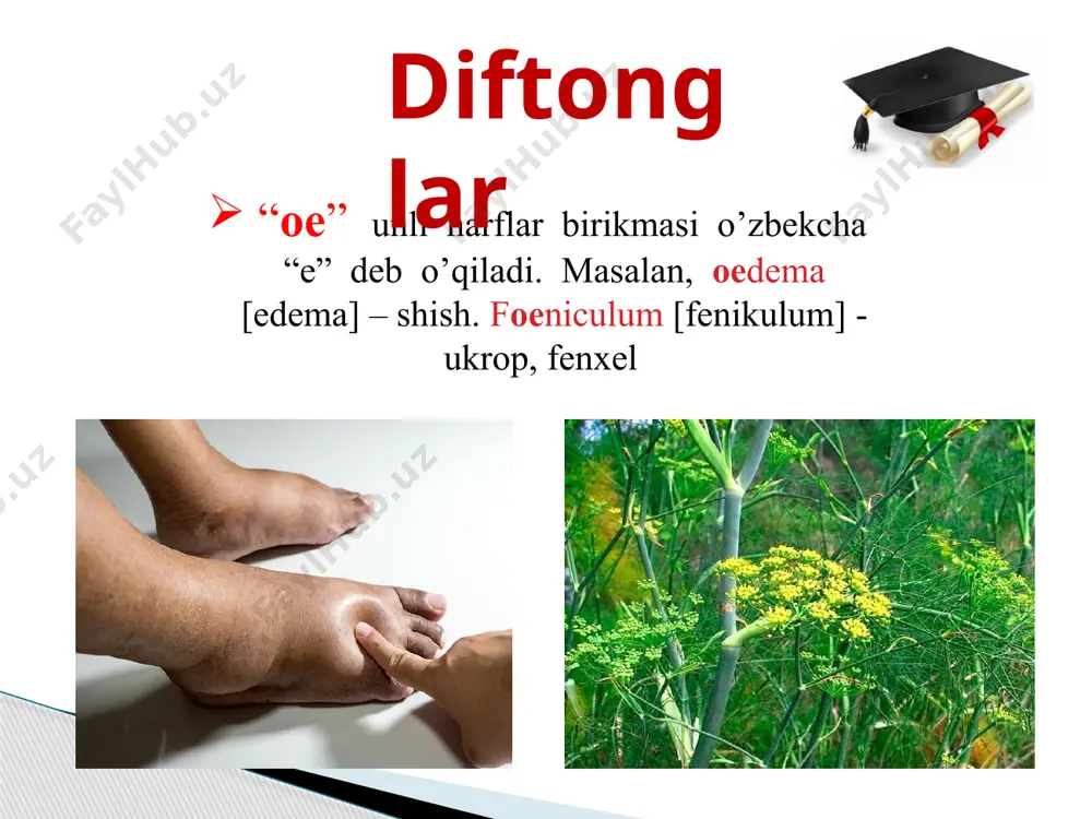 lotin tili va tibbiy terminologiya o’qituvchisi - Page 4