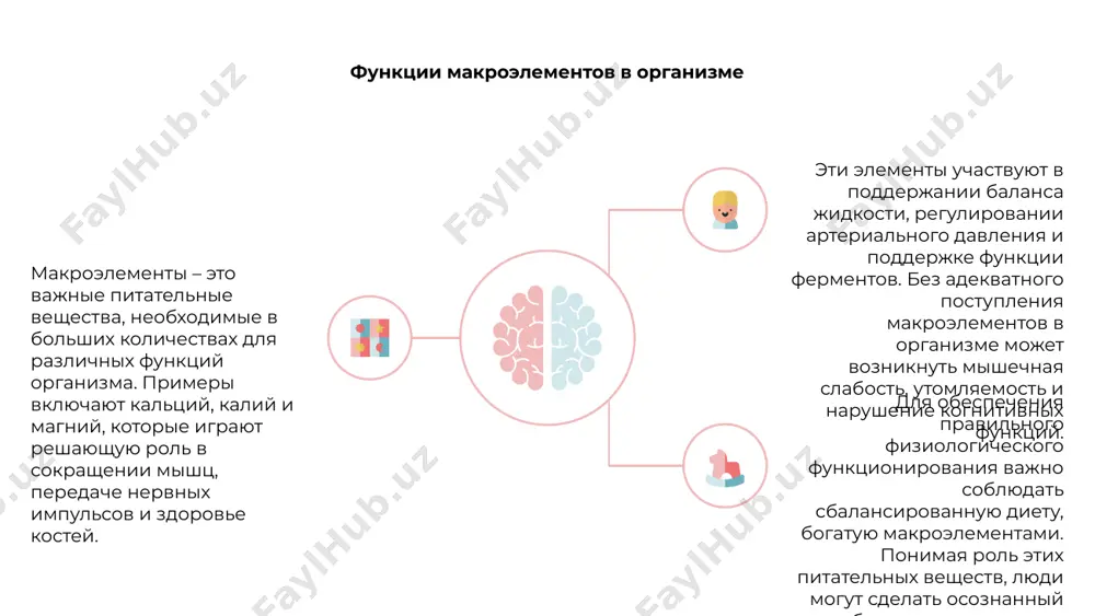 обенно в обмене веществ. он действует как кофактор для многочисленных ферментов, участвующих в метаболизме углеводов, жиров и белков. помимо метаболических функций, цинк также помогает в росте и развитии, иммунной функции, заживлении ран и синтезе днк. это важно для поддержания правильного вкуса и запаха, а также для общего здоровья и хорошего самочувствия. дефицит цинка может привести к нарушению обмена веществ, задержке роста, нарушению иммунной функции и другим проблемам со здоровьем. поэтому обеспечение адекватного поступления цинка с помощью диеты или добавок жизненно важно для оптимального здоровья и благополучия. медь: функции и симптомы дефицита 1,2,3 медь является важным микроэлементом, который играет решающую роль в различных физиологических процессах в организме, включая образование эритроцитов и поддержание здоровых соединительных тканей. одной из основных функций меди является ее участие в антиоксидантных функциях, помогая защитить клетки от повреждений, вызванных свободными радикалами. кроме того, медь необходима для правильной работы мозга и производства энергии. дефицит меди может привести к ряду …