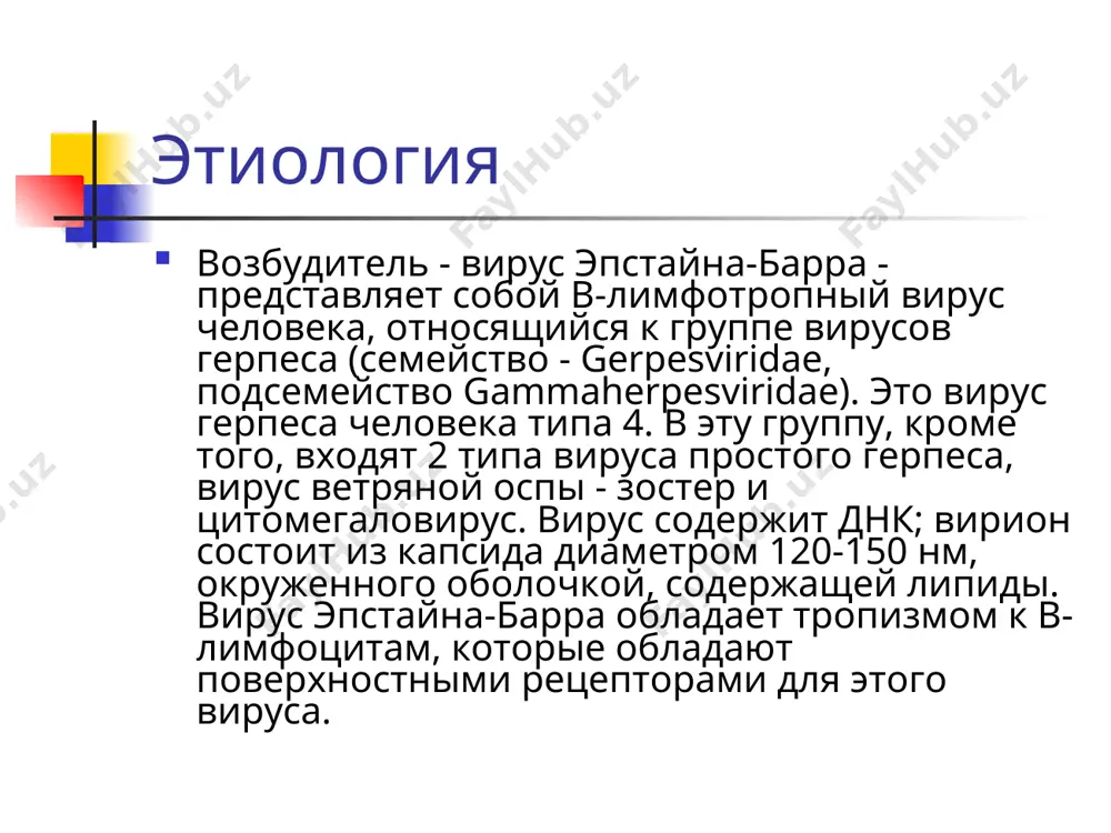 ротоглотка. продуктивную инфекцию поддерживают в-лимфоциты, которые являются единственными клетками, имеющими поверхностные рецепторы для вируса. во время острой фазы болезни специфические вирусные антигены обнаруживают в ядрах более 20% циркулирующих в-лимфоцитов. патогенез после стихания инфекционного процесса вирусы можно обнаружить лишь в единичных в-лимфоцитах и эпителиальных клетках носоглотки. часть пораженных клеток погибает, высвобождающийся вирус инфицирует новые клетки. нарушается как клеточный, так и гуморальный иммунитет. это может способствовать суперинфекции и наслоению вторичной инфекции. вирус эпстайна-барра обладает способностью избирательно поражать лимфоидную и ретикулярную ткань, что выражается в генерализованной лимфоаденопатии, увеличении печени и селезенки. усиление митотической активности лимфоидной и ретикулярной ткани приводит к появлению в периферической крови атипичных мононуклеаров. классификация типичные формы: легкие,среднетяжелые и тяжелие атипичные формы: стертым, бессимптомным и (висцеральные- редко встречающиеся) клиника инкубационный период от 5 до 21 дней и дольше –до -1 - 2 мес. заболевание, как правило, начинается остро. ко 2-5-му дню болезни лихорадка и симптомы общей интоксикации достигают наивысшей выраженности. с …