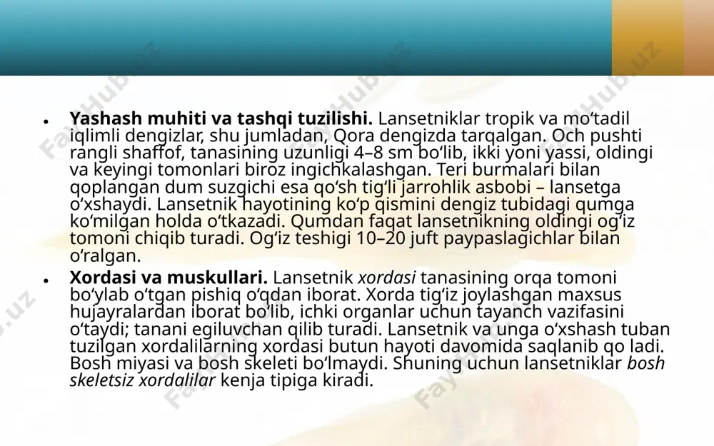 lansetnik - Page 4
