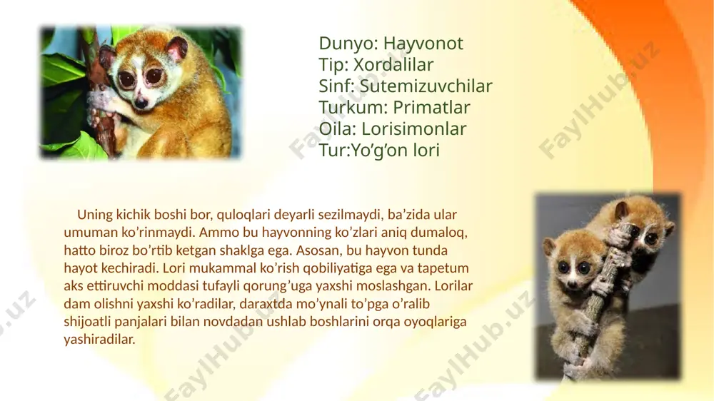 zaharli sutemizuvchilar - Page 4