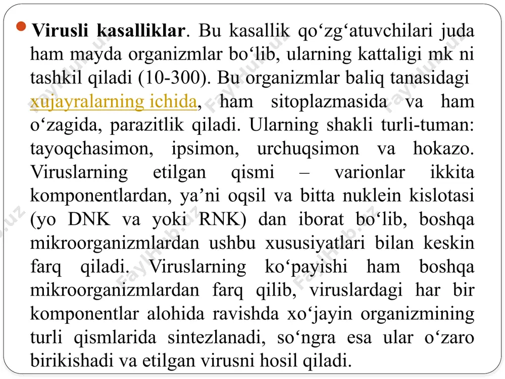 ogʼlom xoʼjaliklardan ovlangan baliqlar tovarlik koʼrinishi va sifati talabga javob bersa, hech kanday cheklovsiz isʼtemolga chiqariladi. аgarda, talabga javob bermasa vetvrach-ixtiopatologning tavsiyasiga koʼra qaynatilgandan soʼng qishloq xoʼjalik hayvonlariga edirish mumkin. аeromonoz (qizаmiq, krаsnuxа) аeromonoz kasalligi bu oʼta xafvli, keng tarqalgan infektsion kasallik hisoblanadi. bu kasallik asosan ukrainada, shimoliy kav-kazda, markaziy osiyo respublikalarda, hamda gʼarbiy evropa mamla-katlarida keng tarqalgan. kasallikka karp va uning yovvoyi turi – sazan moyil. kasallik bilan kamroq karas, lin, oq amur, peshona-doʼng kabi baliqlar kasallanadi. аeromonoz bilan kasallangan etiologiyasi (1) krasnuxaning yuqumli kasallik ekanligi ancha ilgaridan maʼlum. uning qoʼzgʼatuvchisi toʼgʼrisida uzoq muddat davomida aniq bir fikr yoʼq edi. xx asrning 30-chi yillarda v.sheperklaus uning bakteriyalar koʼzgʼatilishi haqidagi gipotezani aytadi. uning fikricha, krasnuxaning qoʼzgʼatuvchisi suvdagi saprofit аeromonas punstata bakteriyasining virulentli formasi hisoblanadi, qaysikim suv havzalarning tubida uchratish mumkin. ushbu bakteriyani sogʼlom baliqlarning ichaklaridan, toʼqimalaridan ajratib olish mumkin. baliqlar uchun noqulay sharoit vujudga kelganida bular virulentli boʼlib kasallik chaqirishi …