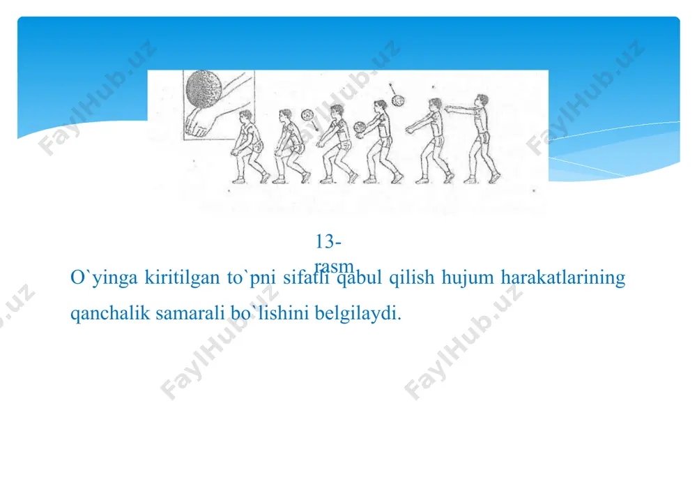jumni uyushtirish, to`siqdan so`ng qimmatli ochkolarni yutish imkoniyatiga ega bo`ladi. 16-rasm to`siq bir o`yinchi tomonidan (yakka) yoki ikki-uch o`yinchi tomonidan (guruhli) amalga oshirilishi mumkin.o`yinchi to`r yaqinida, yuqori turish holatida, qo`llarni yelka sathida ko`tarib, tovonlarini parallel holatda qo`yib turadi (16-rasm). hujum qilinayotgan joyning masofasiga qarab to`r yaqinida yon tomonlarga qadam tashlash, yugurish, sakrash kabi harakatlarni bajarish mumkin. to`siq qo`yish uchun avval o`yinchi oyoqlarini ko`proqbukib, qo`llarini qattiq silkib yuqoriga sakraydi. qo`llar tirsakdan bir oz bukilgan holatda to`r tepasiga ko`tariladi. optimal kuchlangan (barmoqlar orasi ochiq) kaftlar to`rning yuqori qismiga borganda to`r osha yuqoriga-oldinga harakatlantiriladi. zarba vaqtida kaftlar to`pga maksimal yaqinlashtiriladi va bilak bo`g`inlari hisobiga faol bukiladi. bundan asosiy maqsad berilgan zarbani amortizasiyalash va to`pni raqib jamoasining maydonchasiga yo`naltirishdan iboratdir. hujumchilar to`r chekkalaridan hujum zarbalarini berishda to`pni to`siqdan maydon tashqarisiga chiqarib yuborishga harakat qiladilar. shu sababli to`siq to`r chekkasiga yaqin bo`lgan qo`l bilan yopiladi va to`pning maydonchadan chiqib ketishga yo`1 qo`yilmaydi. to`siq qo`yish texnikasiningmurakkabligi …