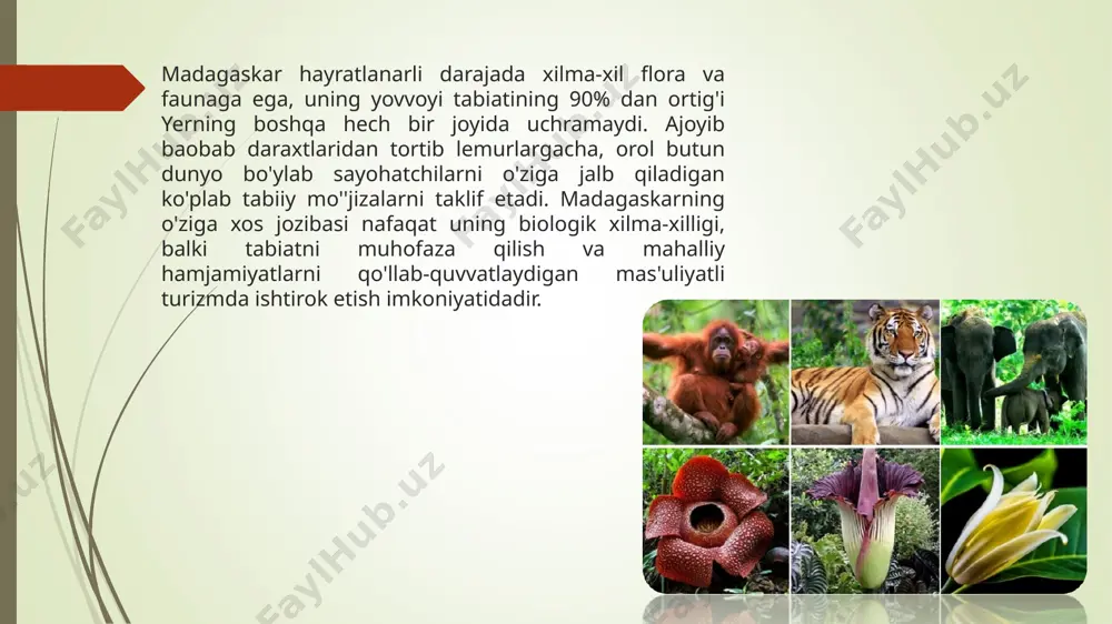 erosini himoya qilish va barqaror turizm amaliyotini ilgari surish uchun muhim qadamlar qo'ydi. milliy bog'lar va qo'riqxonalarning tashkil etilishi, tabiatni muhofaza qilish bo'yicha qat'iy qoidalar va jamoatchilik tomonidan ekoturizm tashabbuslari madagaskarning noyob ekotizimlarini saqlab qolishga yordam berdi. bu sa’y-harakatlar sayyohlik faoliyatining ekologik jihatdan mas’uliyatli tarzda olib borilishi va mahalliy hamjamiyatlarning sohadan foyda olishini ta’minlaydi. bundan tashqari, madagaskardagi ekoturizm ko'pincha ta'lim va xabardorlik faoliyatini targ'ib qiladi, bu esa tashrif buyuruvchilarga tabiatni muhofaza qilish va barqaror amaliyotlarning ahamiyatini chuqurroq tushunishga imkon beradi. ekskursiyalar, talqin markazlari va seminarlar orqali sayyohlar mamlakatning noyob ekotizimlari duch keladigan muammolar bilan tanishishlari va ularni himoya qilishda faol ishtirok etishlari mumkin. umuman olganda, madagaskardagi ekoturizm sayohatchilarga tabiat bilan bog'lanish, tabiatni muhofaza qilish sa'y-harakatlariga hissa qo'shish va mahalliy hamjamiyatlarni qo'llab-quvvatlash uchun misli ko'rilmagan imkoniyatni taqdim etadi. barqaror turizmning iqtisodiy foydalari aniq, ammo madagaskar iqtisodiyotidagi ekoturizmning haqiqiy darajasini tushunish uchun moliyaviy ta'sirni batafsilroq o'rganish kerak. madagaskardagi ekoturizmning iqtisodiyotga ta'siri madagaskarning …