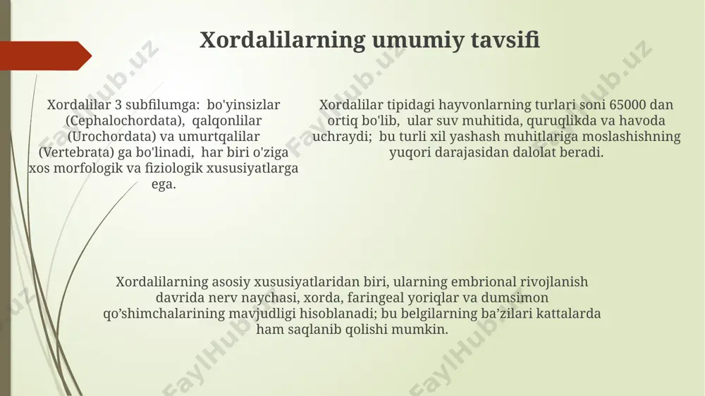xordalilar tipi vakillari klassifikatsiyasi - Page 5