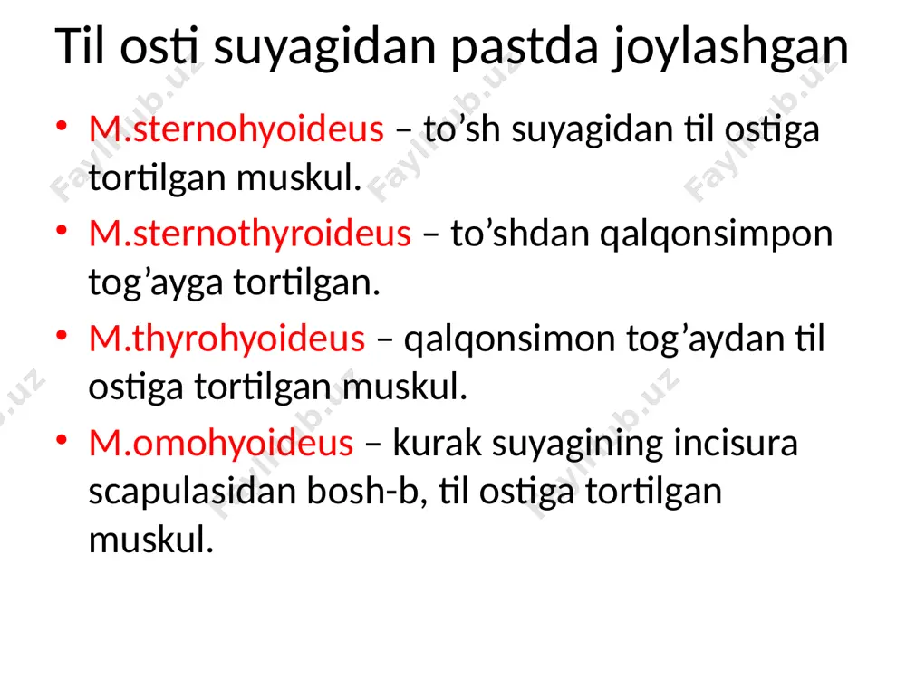 ial joy-gani esa spinalis hisoblanadi. image1.png image2.png image3.png image4.png image5.png image6.png image7.png image8.png image9.png image10.png image11.png image12.png image13.png /docprops/thumbnail.jpeg
